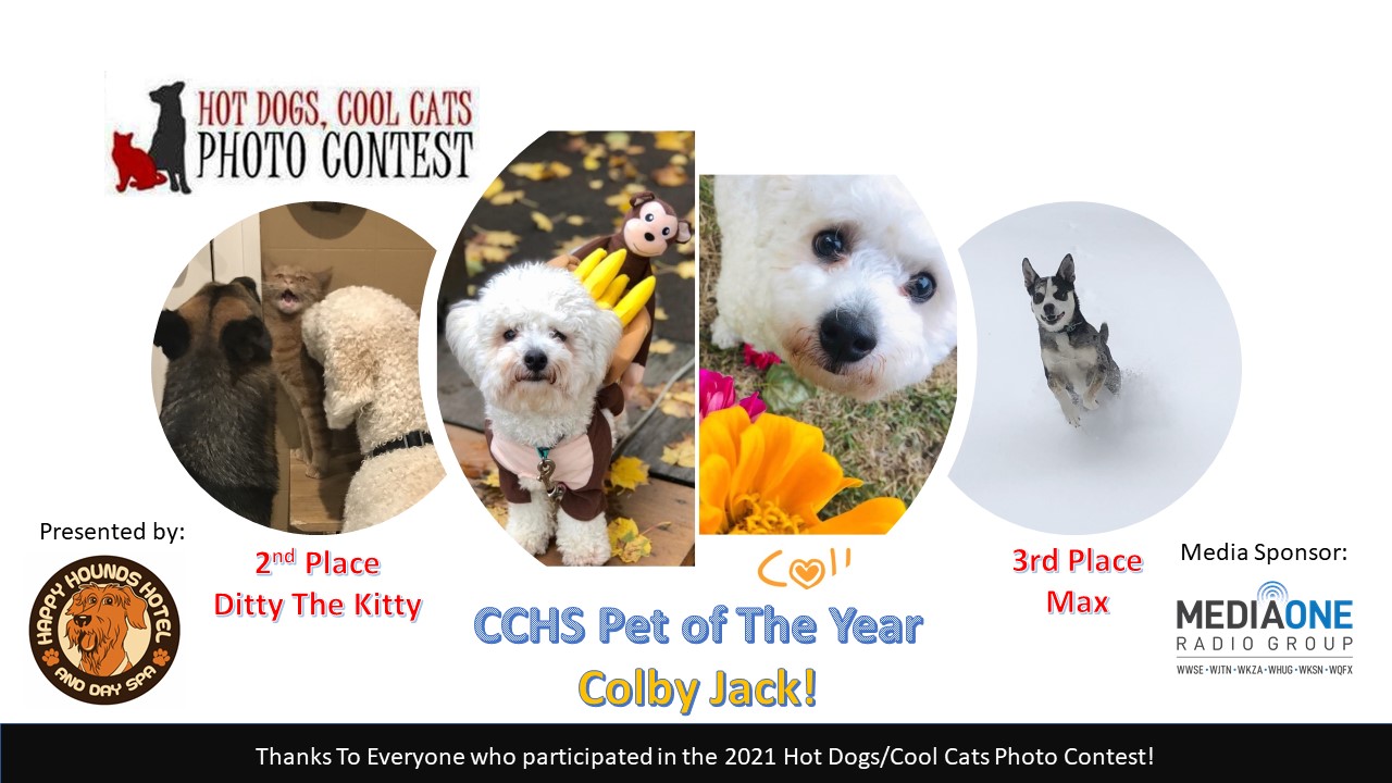 2021 Hot Dogs Cool Cats Winners Announced - Chautauqua County Humane